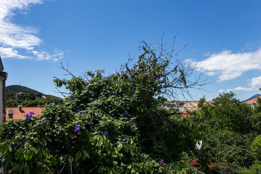 Apartment Tranquilo Dubrovnik Kültér fotó